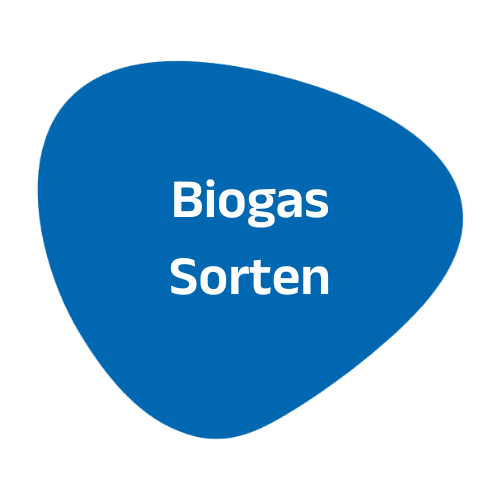 Bild für Kategorie Biogas-Sorten