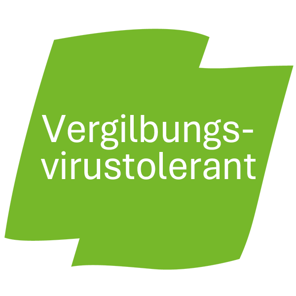 Vergilbungsvirus-Sorten