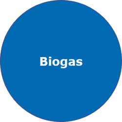 Bild für Kategorie Biogas-Sorten